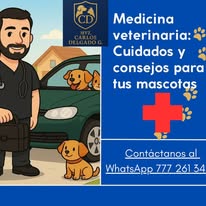 Ilustración de hotel para mascotas